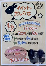 4月6日羊の毛刈り体験、ワークショップ
