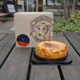 濃厚チーズケーキ