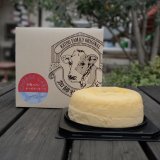 半熟スフレチーズケーキ