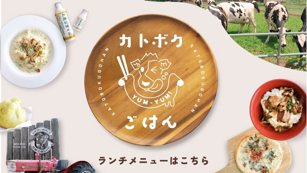 ランチメニュー