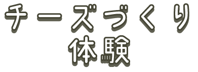 チーズづくり体験
