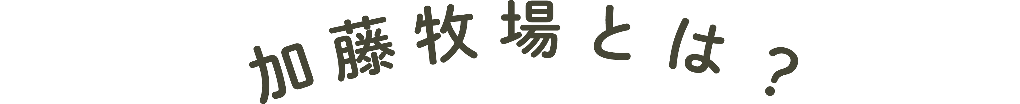 加藤牧場とは？