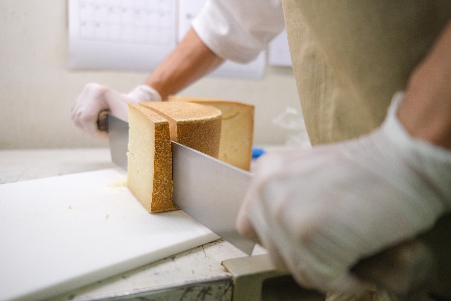 加藤牧場 作業風景